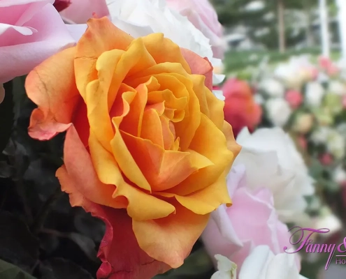 Dekorasi Tema Rustic 17