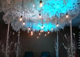 Dekorasi Ulang Tahun ke 17 - Tricia 1