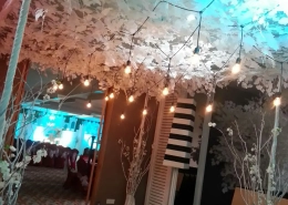 Dekorasi Ulang Tahun ke 17 - Tricia 3