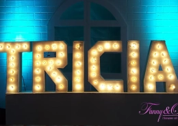 Dekorasi Ulang Tahun ke 17 - Tricia 6