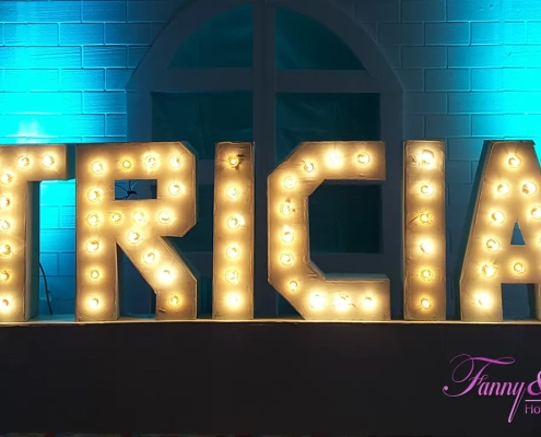 Dekorasi Ulang Tahun ke 17 - Tricia 6