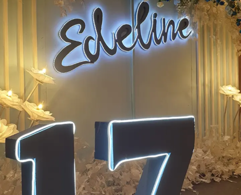 Dekorasi Ulang Tahun ke 17 - Edeline 3